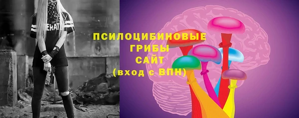 ECSTASY Лиски