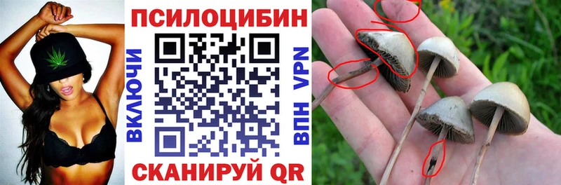 Псилоцибиновые грибы мухоморы  Купить  Петушки 